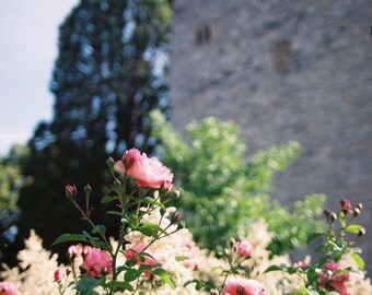 Rothenburg, Germany 35mm Film Photograph - Floral Wall Art - Romantic Road Photo Print