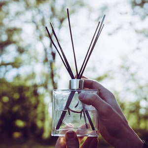 May include: A clear glass bottle with black diffuser sticks, held in a hand against a blurred green background.
