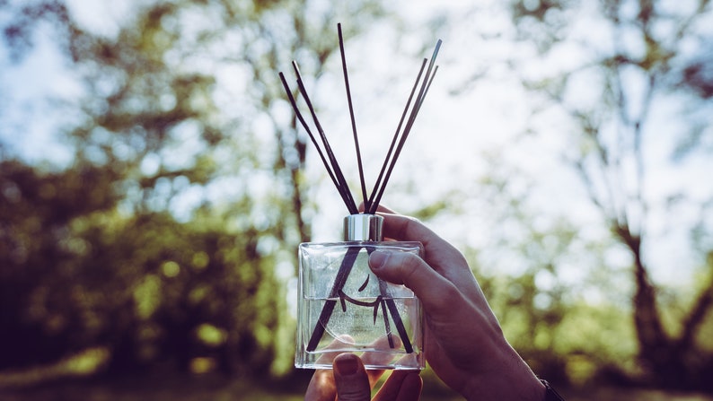May include: A clear glass bottle with black diffuser sticks, held in a hand against a blurred green background.