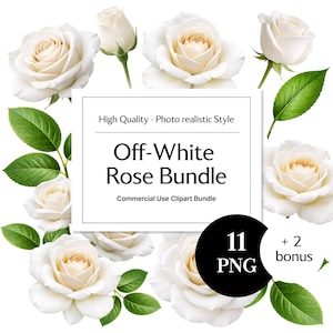 Puede incluir: Un conjunto de rosas blanquecinas con hojas verdes. La imagen incluye rosas abiertas, capullos y el texto "Off-White Rose Bundle" y "Commercial Use Clipart Bundle". También incluye el texto "11 PNG + 2 bonus".