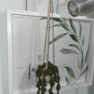May include: A handcrafted crochet plant holder with a small, green, leafy plant. The plant is suspended by a beige rope, hanging in front of a white framed picture with green botanical art. The picture frame is mounted on a white wall.