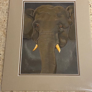 Pygmy Elephant Print