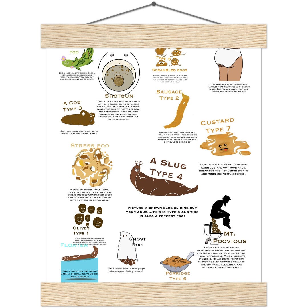 Brtistol Poo Scale Poster - Etsy