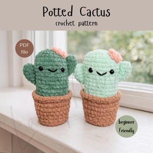 PATTERN Cactus Plushie in Terracotta Pot | Easy/Beginner | PDF Download | Plant Lover | Adorable Gift