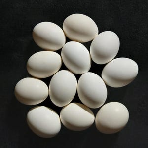 May include: A collection of a dozen white eggs, each with a smooth, pale shell, arranged on a dark background. The eggs are oval-shaped and fill the frame in a top-down view. Soft lighting creates gentle shadows and highlights on the egg surfaces.
