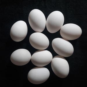 Könnte beinhalten: Nahaufnahme von zehn weißen Eiern auf schwarzem Hintergrund. Die Eier sind oval und scheinen frisch zu sein. Die Anordnung ist von oben, wobei die Eier den größten Teil des Bildes einnehmen.