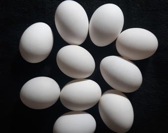10 Blown Duck Egg Shells