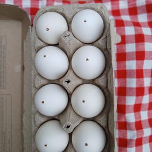 1 douzaine de coquilles d'oeufs de poulet soufflées