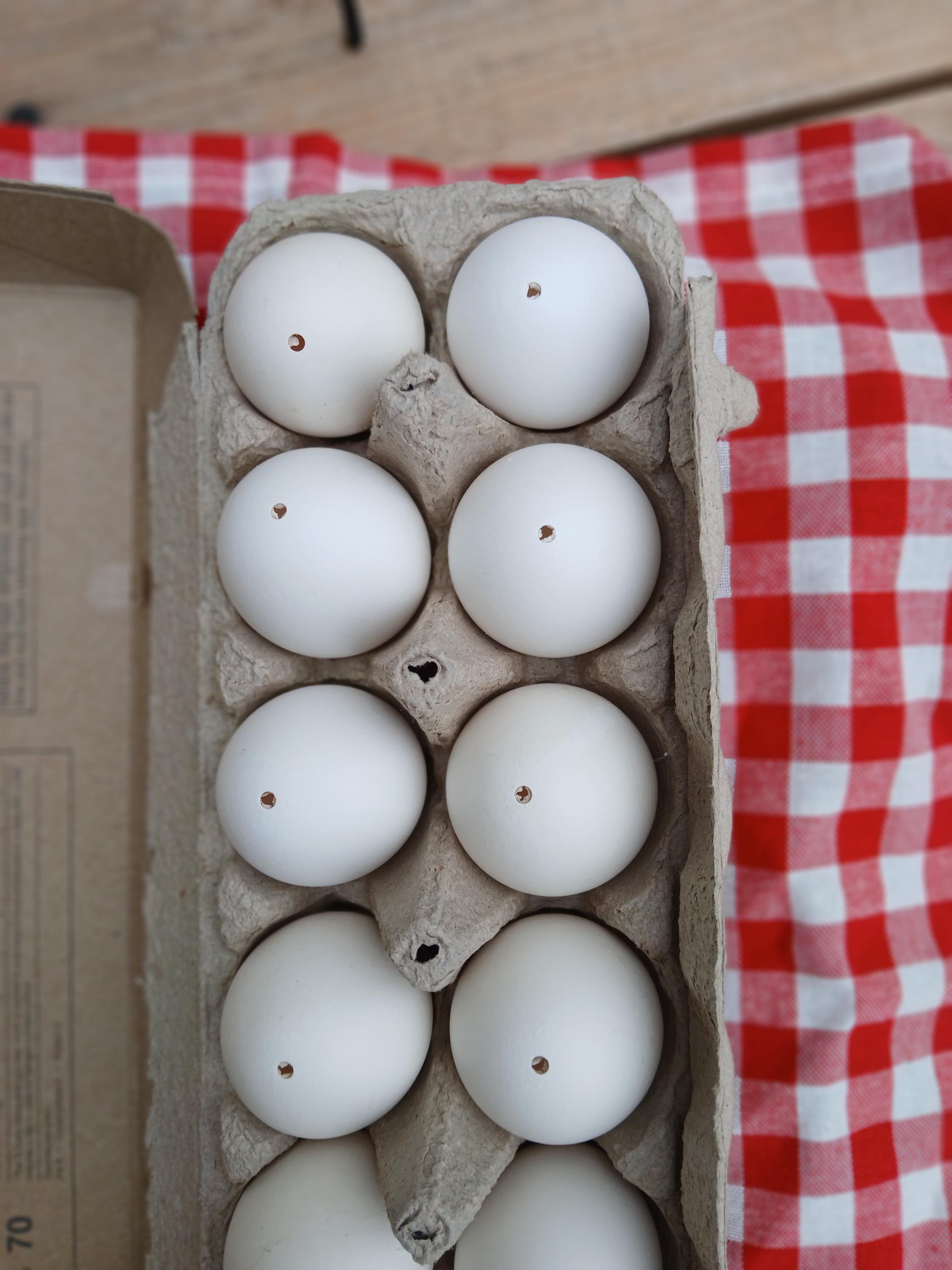 Cómo Decorar Huevos de Pascua Fácilmente | PDF | Huevo como alimento | Huevo  de Pascua, image size:2250x3000