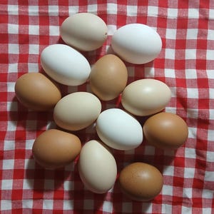 May include: A collection of twelve raw chicken eggs in various shades of white, cream, and light brown. The eggs are oval-shaped with smooth shells and are arranged in a cluster, displaying natural colour variations from pale beige to dark brown.