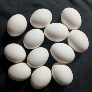 May include: A collection of twelve white eggs arranged in a cluster. Each egg features a smooth, matte, oval-shaped shell with a consistent solid white colour. The eggs are positioned close together, displaying their rounded forms against a dark background.