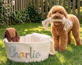 Custom Dog Toy Storage, Gift for Dog Mom, Personalized Puppy Keepsake, Pet Birthday Gift, Hand-lettered Name Pet Basket, Pet Nursery Bin