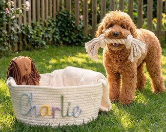 Custom Dog Toy Storage, Gift for Dog Mom, Personalized Puppy Keepsake, Pet Birthday Gift, Hand-lettered Name Pet Basket, Pet Nursery Bin