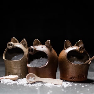 Salt Pig | Pot - Handmade Salt Glaze - Toff Milway Conderton Pottery