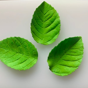 Set of 10 Gum paste Leaves Choose Green, White, Gold and Silver Small or Medium with or without wire, fillers, Topper,  Sugar Paste leaves.