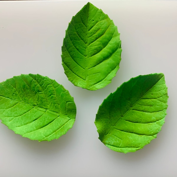 Set of 10 Gum paste Leaves Choose Green, White, Gold and Silver Small or Medium with or without wire, fillers, Topper,  Sugar Paste leaves.