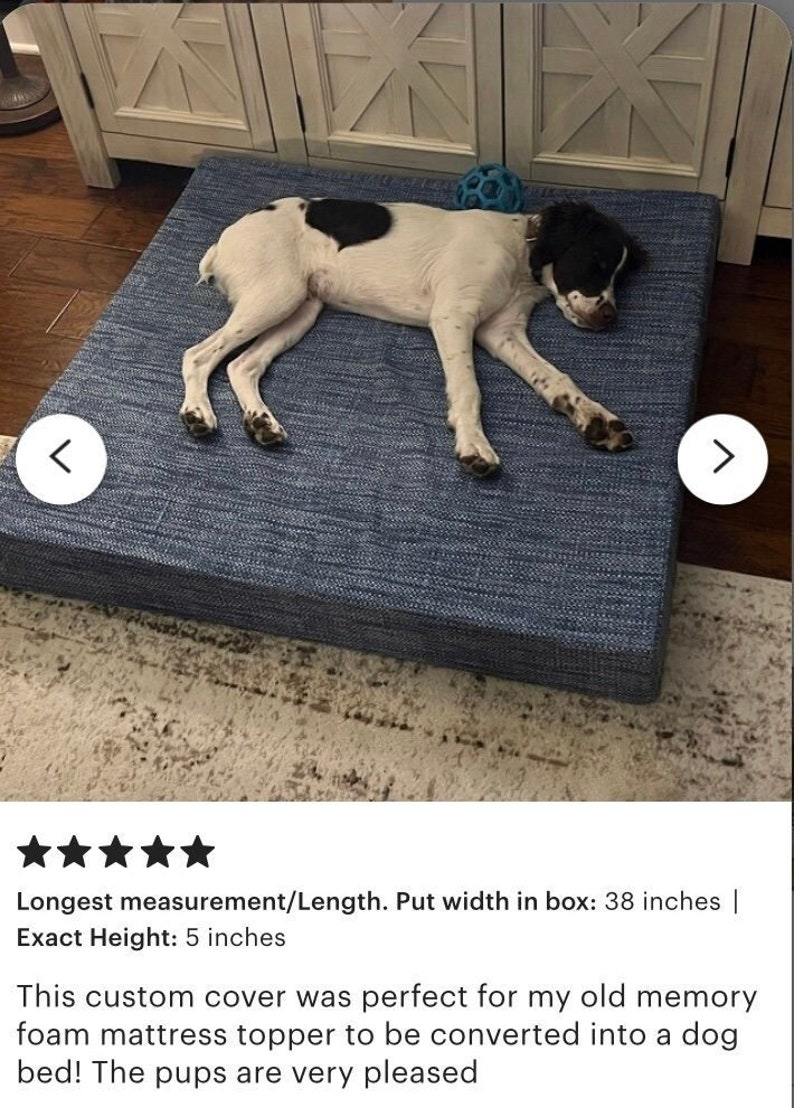 May include: A blue dog bed with a white and black dog laying on it. The bed is 38 inches wide and 5 inches high. The dog bed is made of a soft, comfortable material and is perfect for dogs of all sizes.