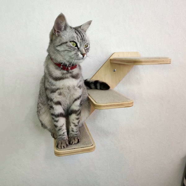 Cat shelves / Cat tree / Cat wall steps / Cat furniture /Cat ladder / New 2022 from RshPets
