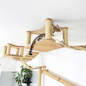 Étagères pour chats de plafond modernes avec coussins | Système de pont suspendu pour chat | Ensemble de perchoirs pour chat en bois naturel | Aire de jeux suspendue pour chats