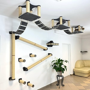 Ensemble mur et plafond ultime pour chats - Système modulaire d&#39;escalade et de détente avec ponts, étagères et griffoirs pour chats de grande taille et actifs