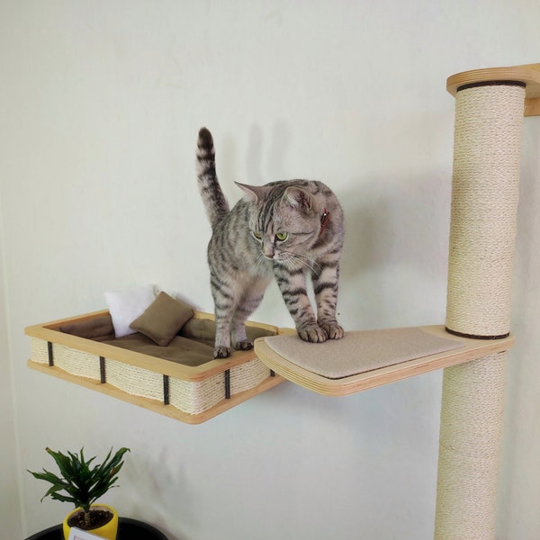 Cat Tree Wall Scratching Post Wall Bed | Set of furniture for cats design 2022 from RshPets