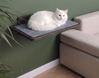 Wood Cat Shelf: Wall Mounted Furniture with Carpet