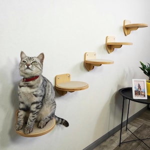 Cat wall steps, Wall-Mounted Round Cat Steps, Cat shelf, Cat wall furniture | Durable Climbing Steps for Active Cats