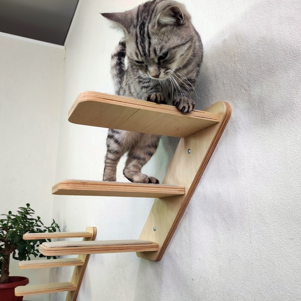 Muebles de pared para gatos / Árbol para gatos / Estantes para gatos / Escalones de pared para gatos / Escalera para gatos / Nuevo 2022 de RshPets