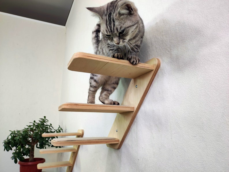 Muebles de pared para gatos / Árbol para gatos / Estantes para gatos / Escalones de pared para gatos / Escalera para gatos / Nuevo 2022 de RshPets imagen 1