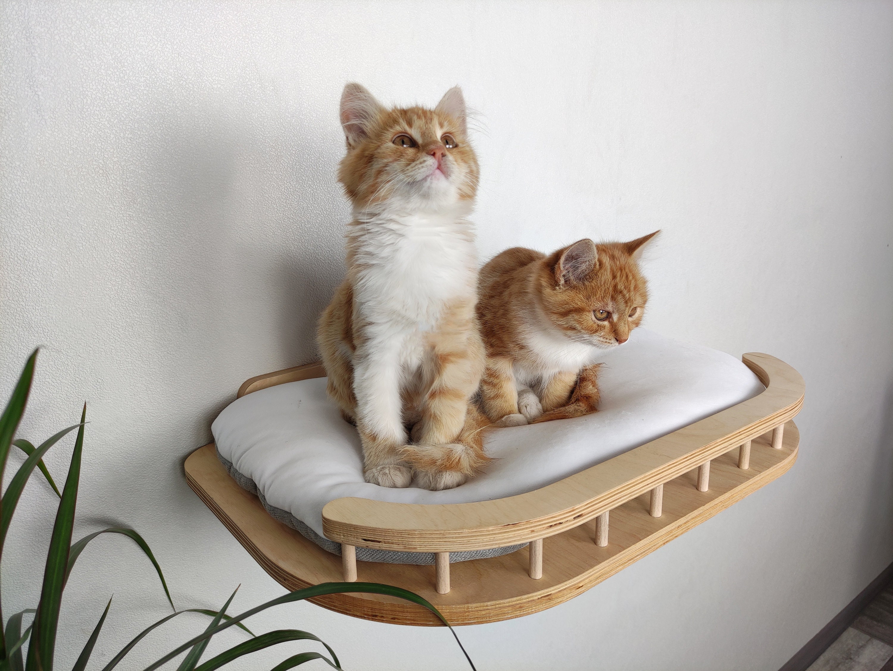 Cat Wall Furniture Cat Wall Bed Cat Furniture Cat Tree Etsy UK