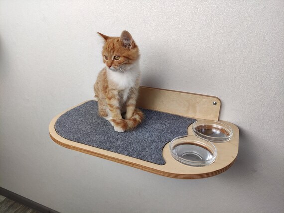 Cat feeding furniture cheap