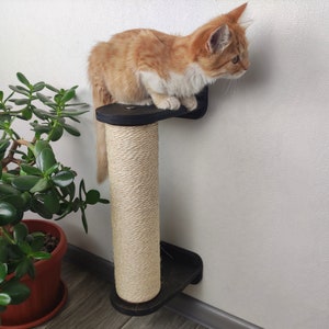 Könnte beinhalten: Eine orange-weiß getigerte Katze sitzt auf einem schwarzen Kratzbaum. Der Kratzbaum ist an einer weißen Wand befestigt und hat einen Sisal-Kratzpfosten. Im Hintergrund befindet sich eine Topfpflanze mit grünen Blättern.