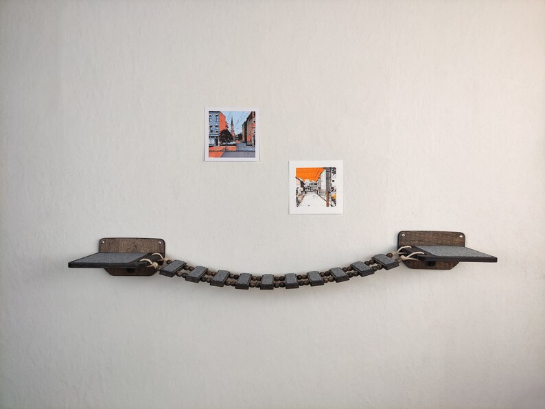 Cat Wall Furniture Cat Bridge Cat Ladder Rshpets Cat Etsy