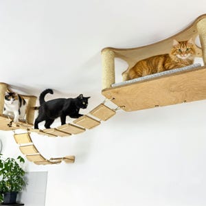 Modern Ceiling Cat Shelves: Birch Plywood Hanging Bridge & Sisal Scratching Post