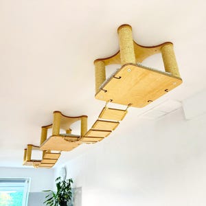 Ensemble de meubles suspendus pour chat | Système moderne de pont et de perchoir pour chat | Étagères de plafond design chat avec pont hamac