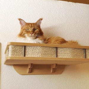 Grand lit mural pour chat avec coussin | Meubles pour chats peu encombrants | Conception RshPets
