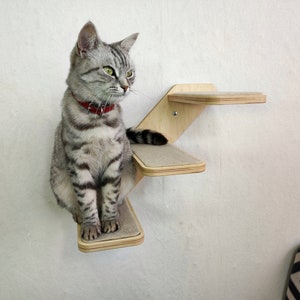 Muebles de pared para gatos / Árbol para gatos / Estantes para gatos / Escalones de pared para gatos / Escalera para gatos / Nuevo 2022 de RshPets imagen 10