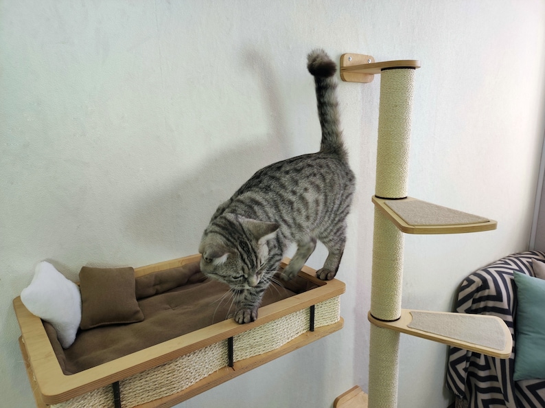 Arbre à chat et lit pour chat Ensemble de meubles pour un chat design 2022 de RshPets image 10