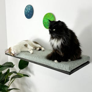 Sturdy Cat shelves for large breeds! Reinforced bed for large cats. Reliable shelves that can withstand heavy weight.