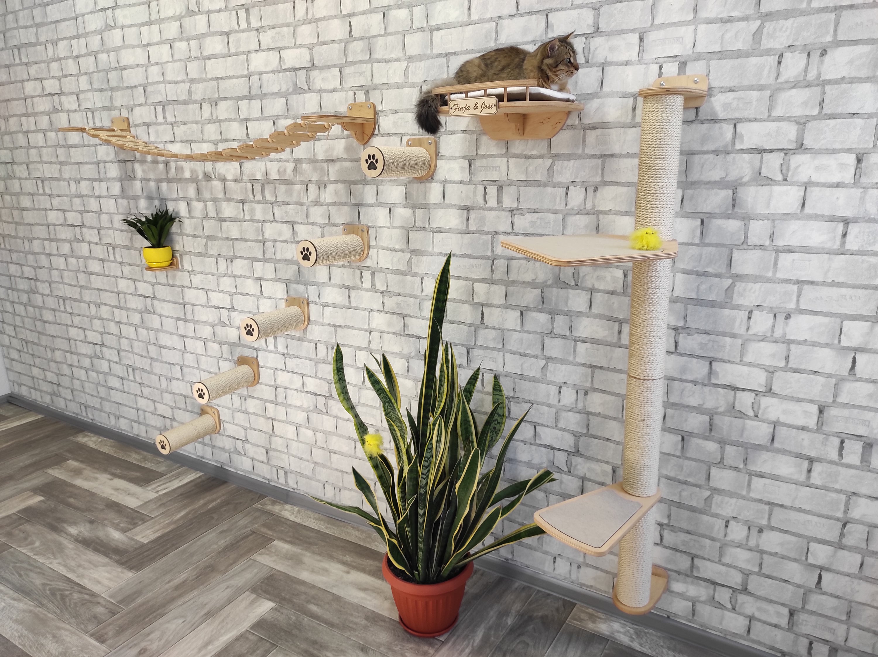 BONY dark cat furniture set Furniture for cats Cat shelves Etsy