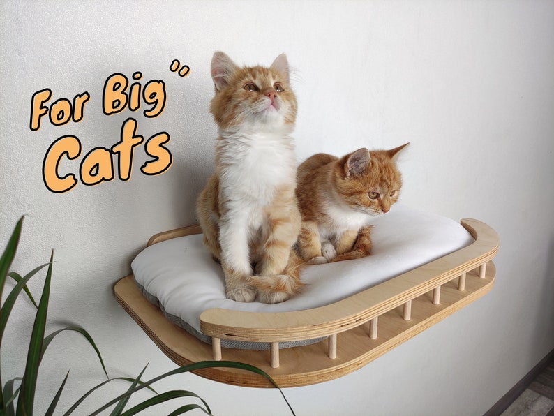 Cat shelf, Cat tower, Cat bed, Cat tree tower, Cat shelves for wall, Cat furniture, Cat tree, Modern cat furniture, Cat window perch image 1