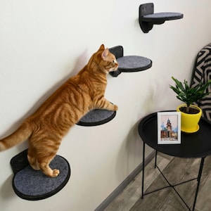 Wall Mounted Cat Steps: Round Wooden Cat Shelves