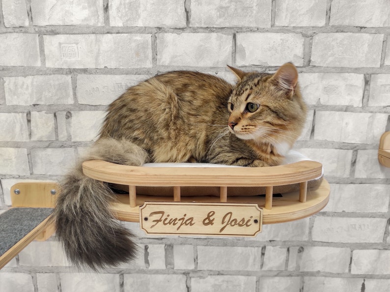 Modern cat furniture Cat shelf Cat shelves Cat lover gift Etsy