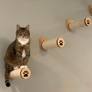 Opstapplank, kattenklimboom, kattenmuurmeubilair, kattencadeaus, kattenmeubelmuur voor games, kattenmandmuur, kattenplanken