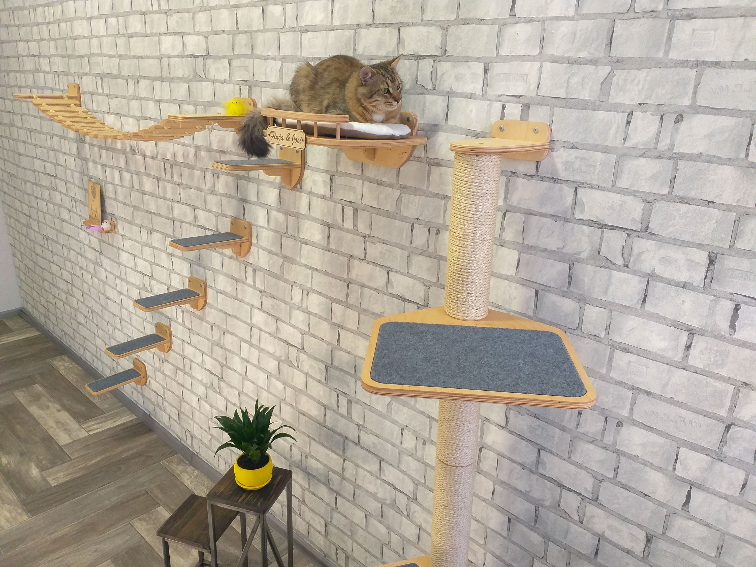 Katzenmöbel Katzenmöbel Katzenwandmöbel Katzenturm - Il Fullxfull.2670755323 Afns