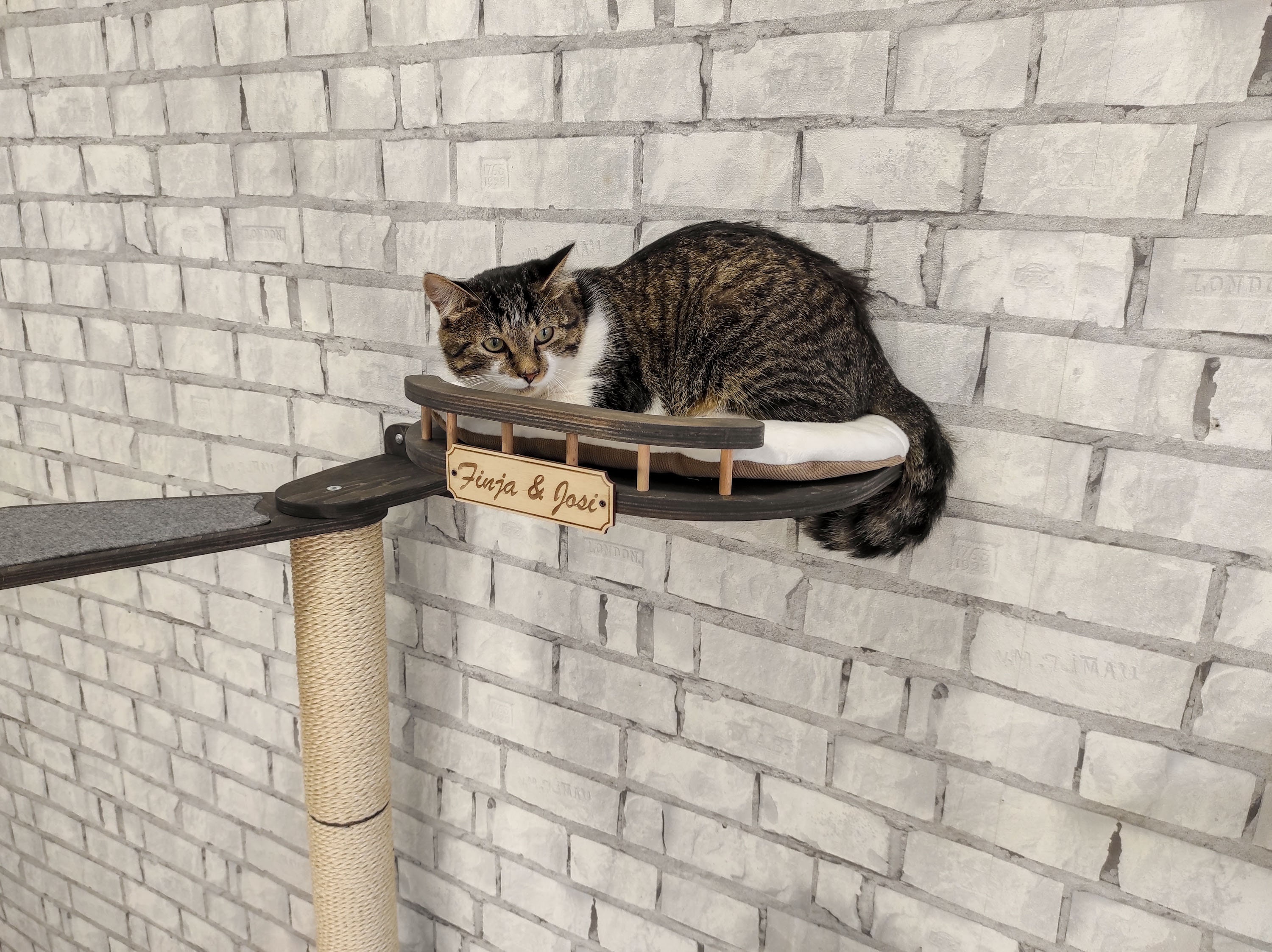 KatzeWandMöbel Haustier Möbel VINY dunkle Katze Möbel Set Etsy