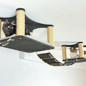Système d&#39;escalade de plafond pour chats - 4 options de jeu avec ponts de corde, étagères en bois sombre et poteaux en sisal - Aire de jeu modulaire suspendue pour chats