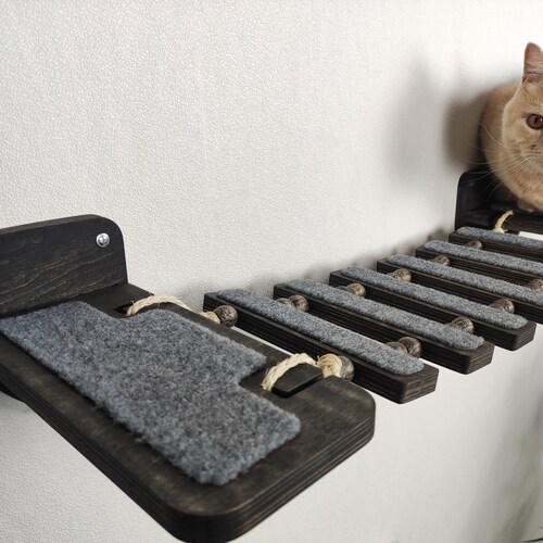 cat play climbing frame