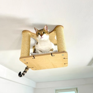 Étagère de plafond chat moderne | Perchoir carré pour chat surélevé | Meubles muraux en bois pour chats | Ensemble grimpeur minimaliste pour chat | Conception RshPets