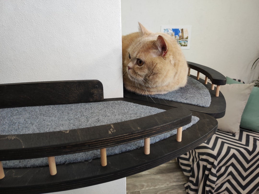 Cat Shelves Modern Cat Tree Cat Wall Corner Bed Cat Furniture Etsy
